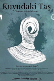 Stone in the Well 2020 on netflix