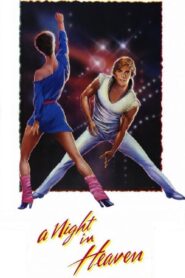 A Night in Heaven 1983 on netflix