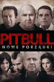 Pitbull: Public Orders 2016 on netflix