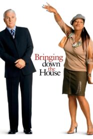 Bringing Down the House 2003 on netflix
