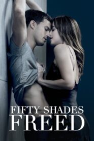 Fifty Shades Freed 2018 on netflix