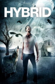 Hybrid 2007 on netflix