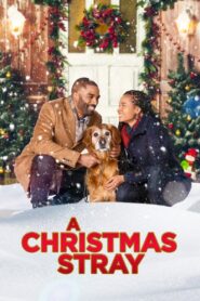 A Christmas Stray 2021 on netflix