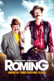 ROMing 2007 on netflix