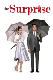The Surprise 2015 on netflix