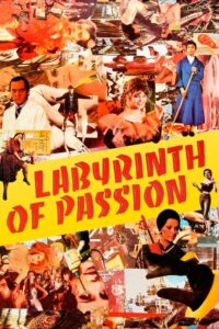 Labyrinth of Passion 1982 on netflix