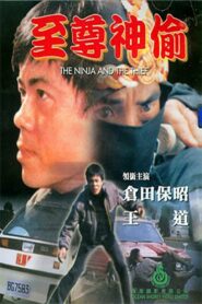 To Catch a Thief 1984 on netflix