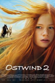 Windstorm 2 2015 on netflix