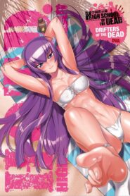 High School of the Dead: Drifters of the Dead 2011 on netflix