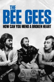 The Bee Gees: How Can You Mend a Broken Heart 2020 on netflix