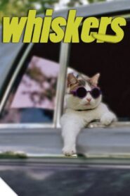 Whiskers 1997 on netflix