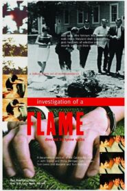 Investigation of a Flame 2002 on netflix