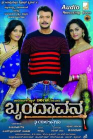 Brindavana 2013 on netflix