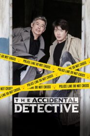 The Accidental Detective 2015 on netflix