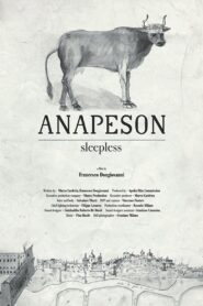 Anapeson 2015 on netflix