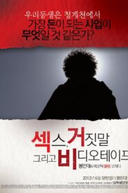 Sex, Lies and Videotape 2012 on netflix