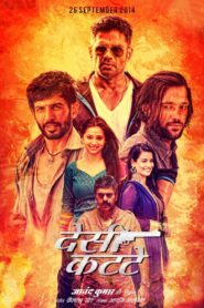 Desi Kattey 2014 on netflix