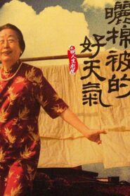 My Grandma 2008 on netflix
