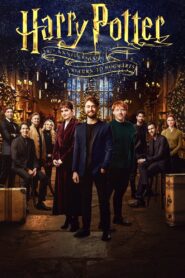 Harry Potter 20th Anniversary: Return to Hogwarts 2022 on netflix