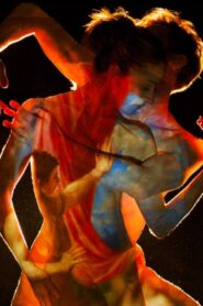 Metamorphosis: Titian 2012 2012 on netflix