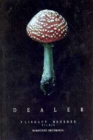 Dealer 2004 on netflix