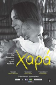 Joy 2012 on netflix