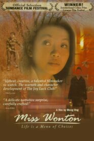 Miss Wonton 2002 on netflix