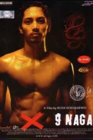 The Nine Dragon 2006 on netflix