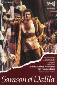 Samson et Dalila 1981 on netflix