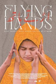 Flying Hands 2024 on netflix