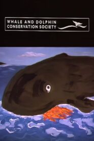 Faroe Islands 1989 on netflix