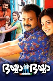 Bhaiyya Bhaiyya 2014 on netflix