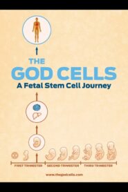 The God Cells 2016 on netflix