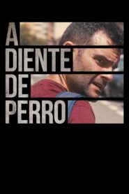 A diente de perro 2022 on netflix