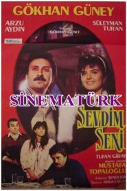 Sevdim Seni 1987 on netflix