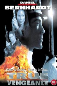 True Vengeance 1997 on netflix