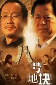 Block 8 2008 on netflix