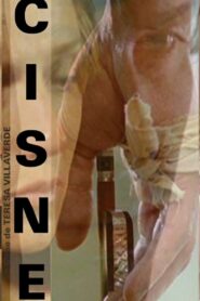 Cisne 2011 on netflix