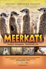 Meerkats 3D 2011 on netflix