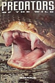 Predators of the Wild: Snake 1993 on netflix