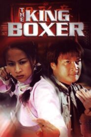 The King Boxer 2000 on netflix