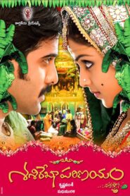 Sasirekha Parinayam 2009 on netflix
