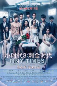 Tiny Times 3 2014 on netflix