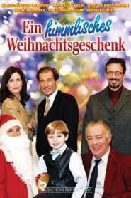 Ein himmlisches Weihnachtsgeschenk 2002 on netflix