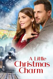 A Little Christmas Charm 2020 on netflix