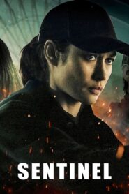 Sentinelle 2021 on netflix