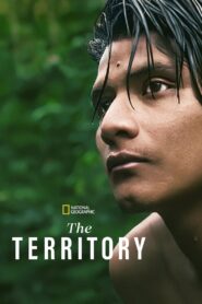 The Territory 2022 on netflix