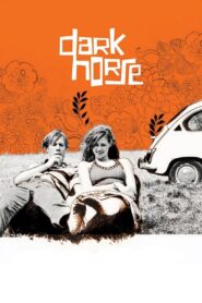 Dark Horse 2005 on netflix