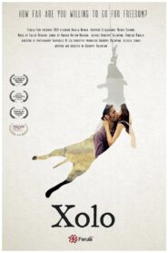 Xolo 2017 on netflix