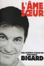 L’Âme sœur 1999 on netflix